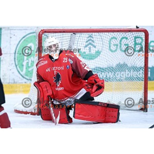 of Jesenice in action during Alps League ice-hockey match between Jesenice and KAC 2 in Podmezakla Hall, Jesenice, Slovenia on October 3, 2018