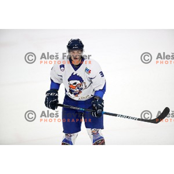 Bled in action during National League ice-hockey match between SZ Olimpija and Bled in Tivoli Hall, Ljubljana, Slovenia on October 8, 2018
