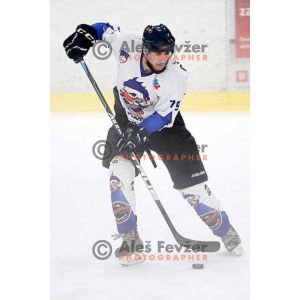 Bled in action during National League ice-hockey match between SZ Olimpija and Bled in Tivoli Hall, Ljubljana, Slovenia on October 8, 2018