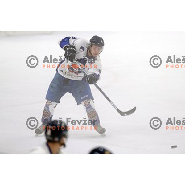 Bled in action during National League ice-hockey match between SZ Olimpija and Bled in Tivoli Hall, Ljubljana, Slovenia on October 8, 2018