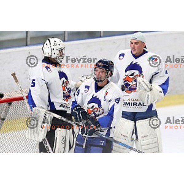 Bled in action during National League ice-hockey match between SZ Olimpija and Bled in Tivoli Hall, Ljubljana, Slovenia on October 8, 2018