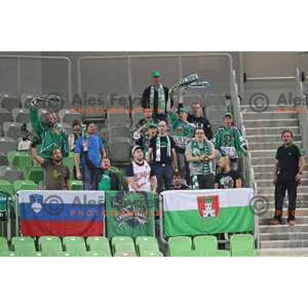 Fans of Petrol Olimpija in action during 2018-2019 ABA league basketball match between Petrol Olimpija and Zadar in SRC Stozice on October 14, 2018