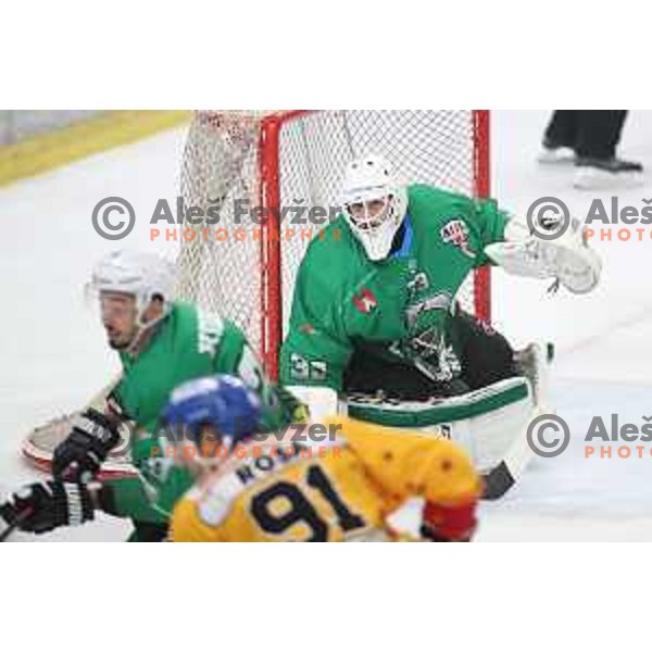 Zan Us of SZ Olimpija in action during Alps League ice-hockey match between SZ Olimpija and Asiago in Tivoli Hall, Ljubljana, Slovenia on October 20, 2018