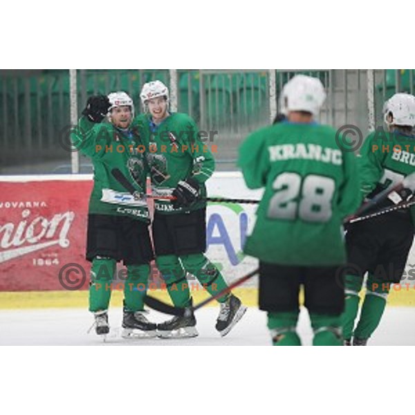 Ales Music of SZ Olimpija in action during Alps League ice-hockey match between SZ Olimpija and Asiago in Tivoli Hall, Ljubljana, Slovenia on October 20, 2018