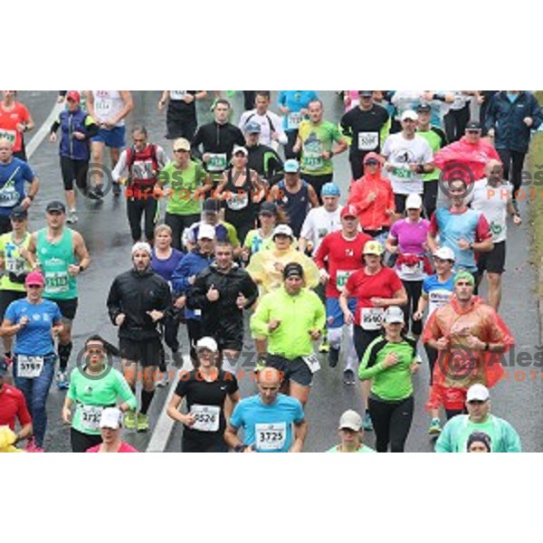 at 23. Volkswagen Ljubljana marathon, Slovenia on October 28, 2018