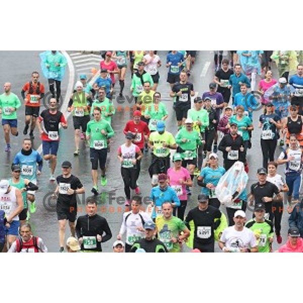 at 23. Volkswagen Ljubljana marathon, Slovenia on October 28, 2018