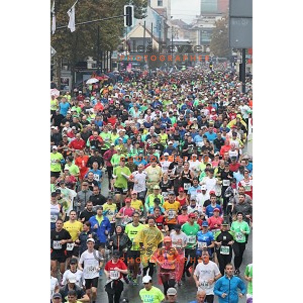 at 23. Volkswagen Ljubljana marathon, Slovenia on October 28, 2018