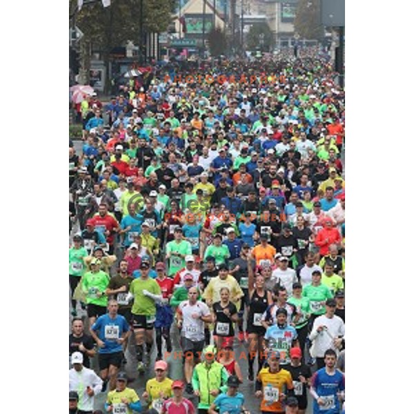 at 23. Volkswagen Ljubljana marathon, Slovenia on October 28, 2018
