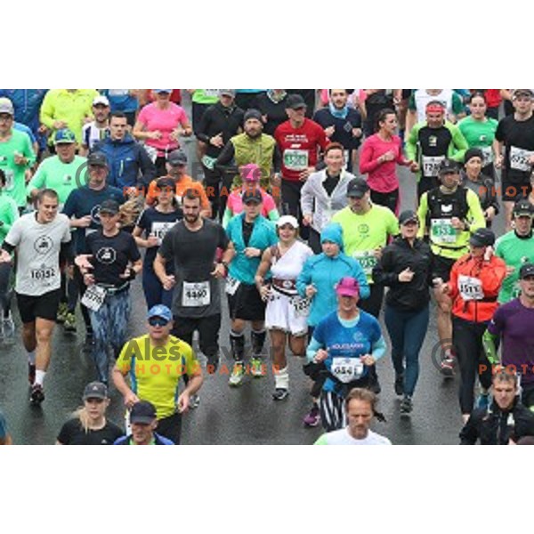 at 23. Volkswagen Ljubljana marathon, Slovenia on October 28, 2018