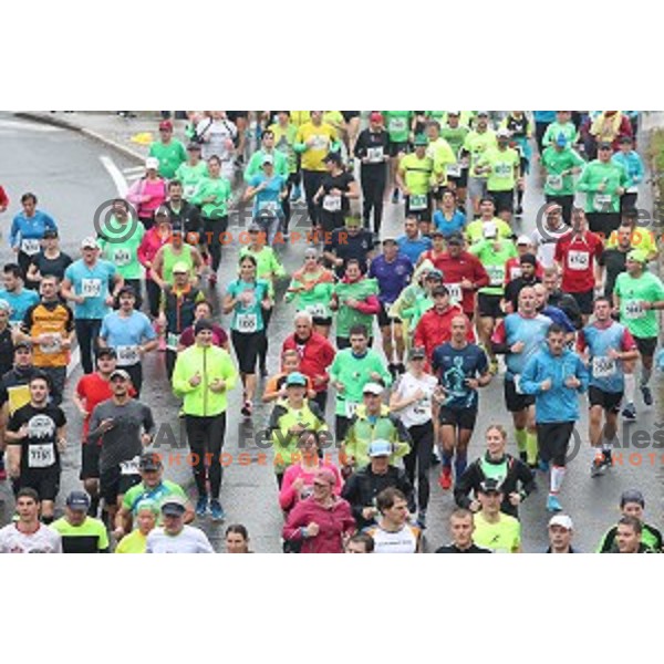 at 23. Volkswagen Ljubljana marathon, Slovenia on October 28, 2018