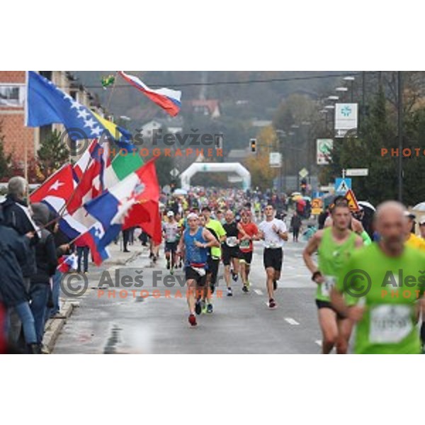 at 23. Volkswagen Ljubljana marathon, Slovenia on October 28, 2018