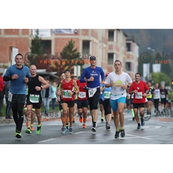 at 23. Volkswagen Ljubljana marathon, Slovenia on October 28, 2018