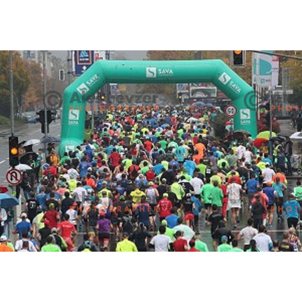 at 23. Volkswagen Ljubljana marathon, Slovenia on October 28, 2018