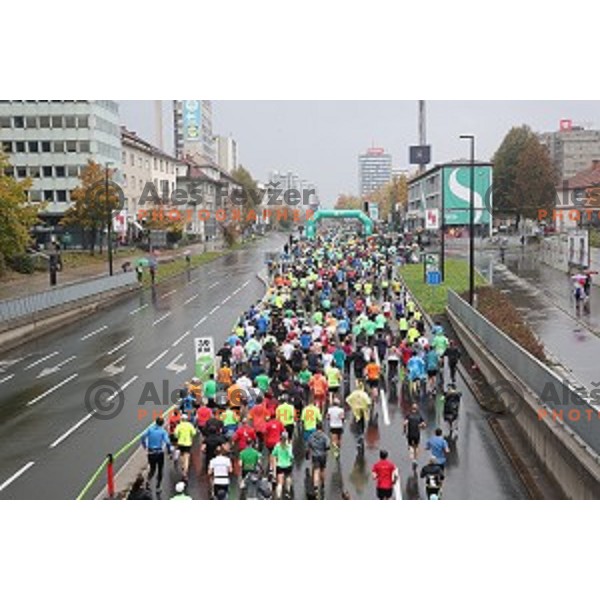 at 23. Volkswagen Ljubljana marathon, Slovenia on October 28, 2018