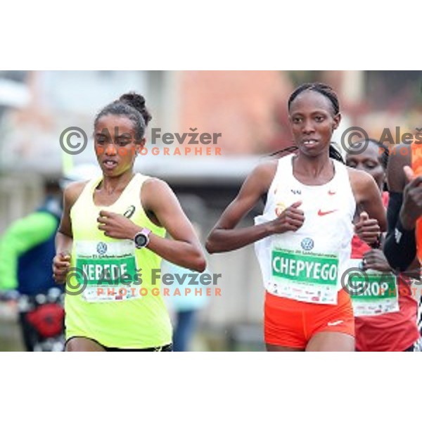Kebede and Chepyego at 23. Volkswagen Ljubljana marathon, Slovenia on October 28, 2018