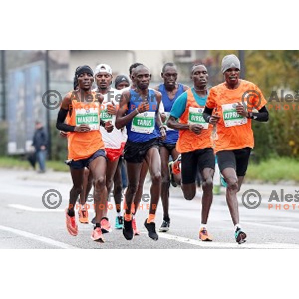 at 23. Volkswagen Ljubljana marathon, Slovenia on October 28, 2018