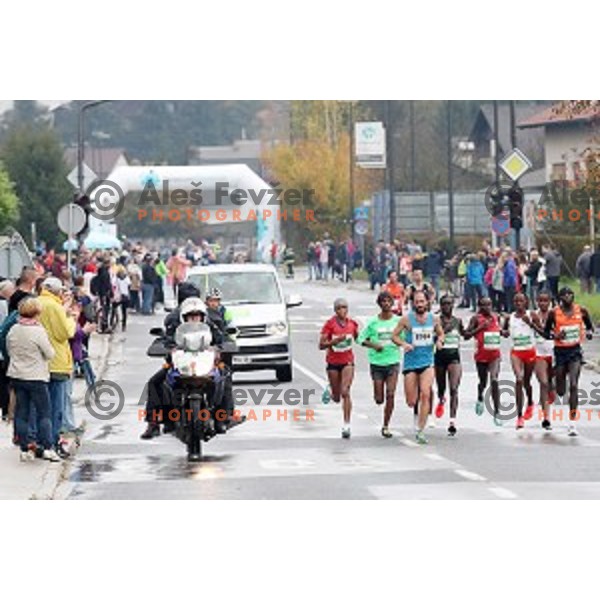 at 23. Volkswagen Ljubljana marathon, Slovenia on October 28, 2018