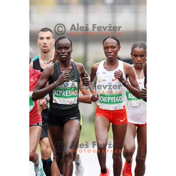 Jepkesho and Chepyego at 23. Volkswagen Ljubljana marathon, Slovenia on October 28, 2018