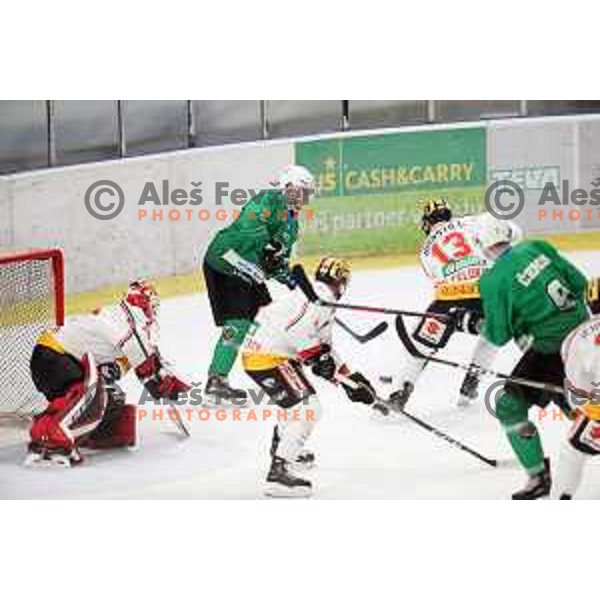 Miha Zajc of SZ Olimpija in action during Alps League ice-hockey match between SZ Olimpija and Feldkirch in Tivoli Hall, Ljubljana, Slovenia on November 3 ,2018