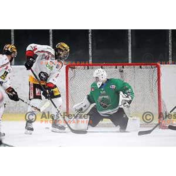 Tilen Spreitzer of SZ Olimpija in action during Alps League ice-hockey match between SZ Olimpija and Feldkirch in Tivoli Hall, Ljubljana, Slovenia on November 3 ,2018