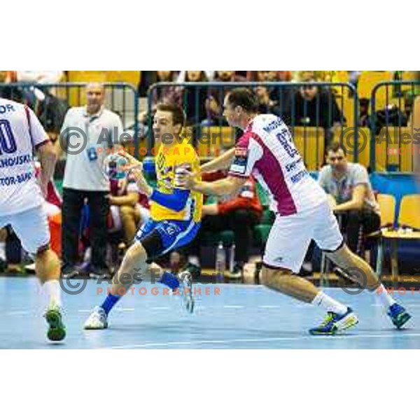 in action during handball match between Celje PL and HC Motor Zaporozhye, Velux EHF Champions League 2018/19, played in Zlatorog Arena, Celje, Slovenia on November 4, 2018
