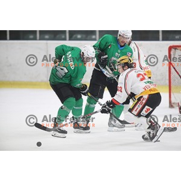 David Planko of SZ Olimpija in action during Alps League ice-hockey match between SZ Olimpija and Feldkirch in Tivoli Hall, Ljubljana, Slovenia on November 3 ,2018