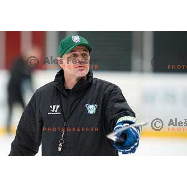 Ivo Jan, head coach of Slovenia ice-hockey team during practice session in Podmezakla Hall, Jesenice on November 6, 2018