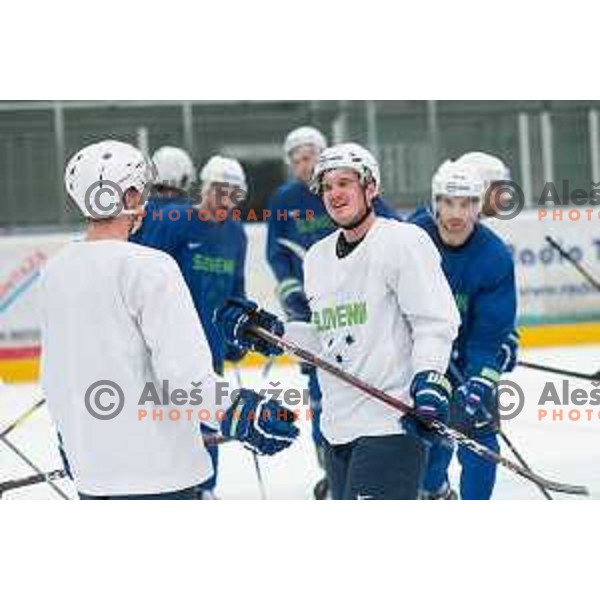 Luka Kalan of Slovenia ice-hockey team practice during session in Podmezakla Hall, Jesenice on November 6, 2018