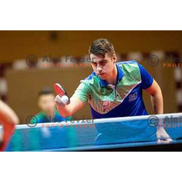 Darko Jorgic of Slovenia in action during table tennis European Championship 2019 qualifier match between Slovenia and Romania, played in Sports venue Osnovna sola 3, Murska Sobota, Slovenia on November 20, 2018