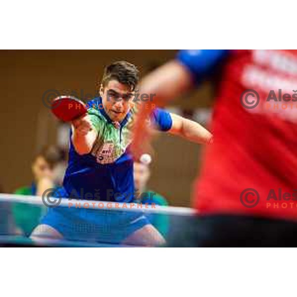 Darko Jorgic of Slovenia in action during table tennis European Championship 2019 qualifier match between Slovenia and Romania, played in Sports venue Osnovna sola 3, Murska Sobota, Slovenia on November 20, 2018