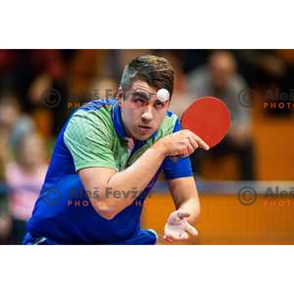 Darko Jorgic of Slovenia in action during table tennis European Championship 2019 qualifier match between Slovenia and Romania, played in Sports venue Osnovna sola 3, Murska Sobota, Slovenia on November 20, 2018