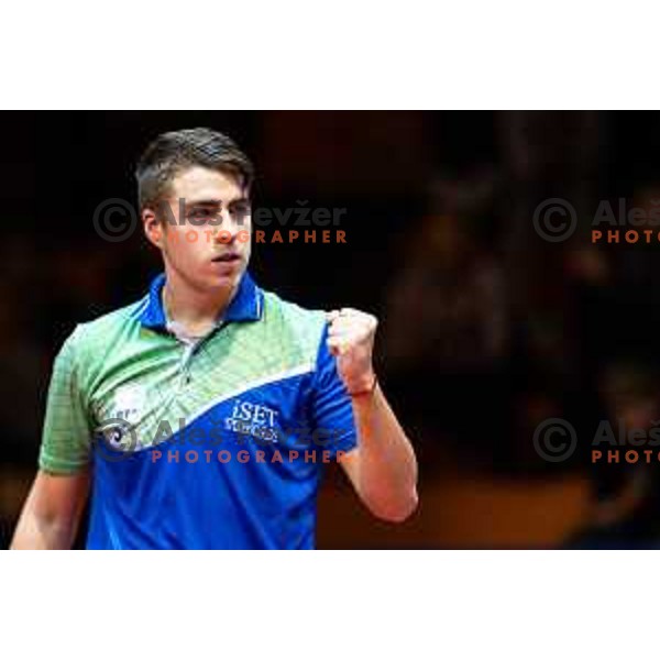Darko Jorgic of Slovenia celebrating during table tennis European Championship 2019 qualifier match between Slovenia and Romania, played in Sports venue Osnovna sola 3, Murska Sobota, Slovenia on November 20, 2018