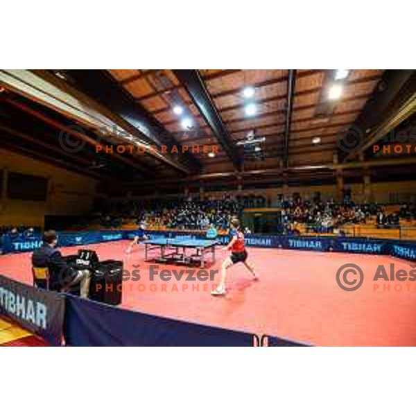 Sports venue Osnovna sola 3 during table tennis European Championship 2019 qualifier match between Slovenia and Romania, played in Sports hall Osnovna sola 3, Murska Sobota, Slovenia on November 20, 2018