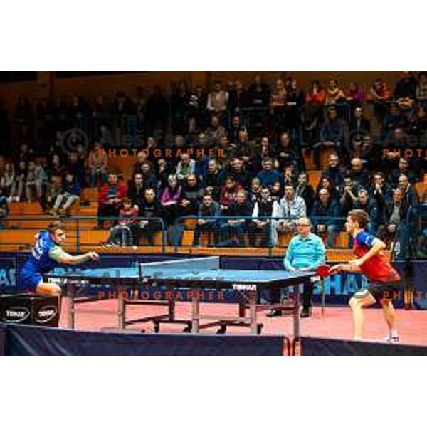 of Slovenia in action during table tennis European Championship 2019 qualifier match between Slovenia and Romania, played in Sports venue Osnovna sola 3, Murska Sobota, Slovenia on November 20, 2018