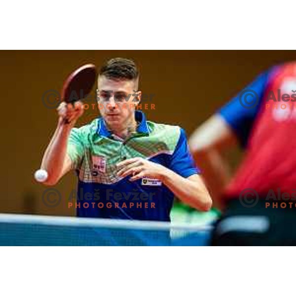 Deni Kozul of Slovenia in action during table tennis European Championship 2019 qualifier match between Slovenia and Romania, played in Sports venue Osnovna sola 3, Murska Sobota, Slovenia on November 20, 2018