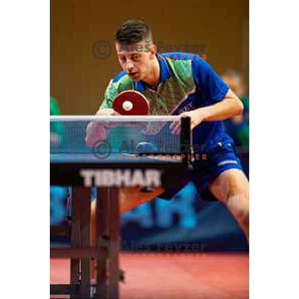 Deni Kozul of Slovenia in action during table tennis European Championship 2019 qualifier match between Slovenia and Romania, played in Sports venue Osnovna sola 3, Murska Sobota, Slovenia on November 20, 2018
