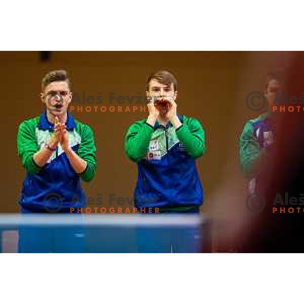 of Slovenia in action during table tennis European Championship 2019 qualifier match between Slovenia and Romania, played in Sports venue Osnovna sola 3, Murska Sobota, Slovenia on November 20, 2018