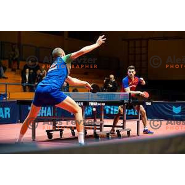 of Slovenia in action during table tennis European Championship 2019 qualifier match between Slovenia and Romania, played in Sports venue Osnovna sola 3, Murska Sobota, Slovenia on November 20, 2018