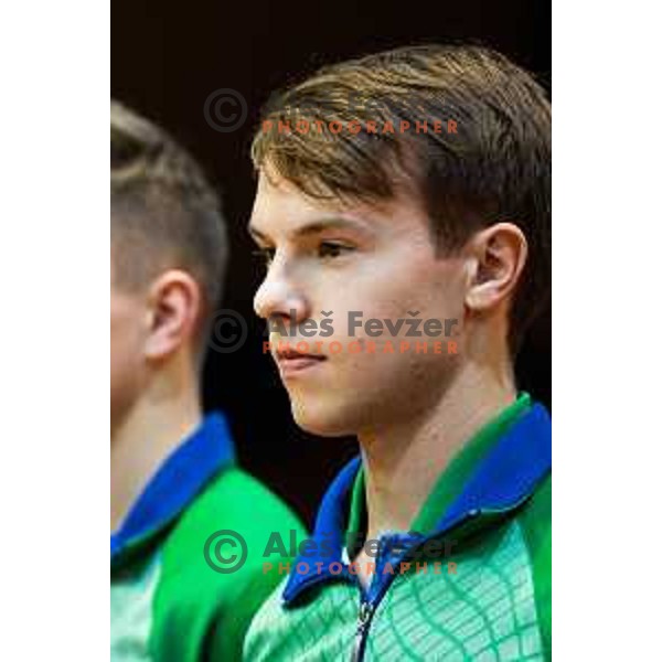 of Slovenia prior to table tennis European Championship 2019 qualifier match between Slovenia and Romania, played in Sports venue Osnovna sola 3, Murska Sobota, Slovenia on November 20, 2018