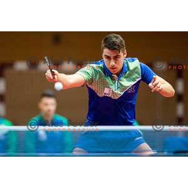 Darko Jorgic of Slovenia in action during table tennis European Championship 2019 qualifier match between Slovenia and Romania, played in Sports venue Osnovna sola 3, Murska Sobota, Slovenia on November 20, 2018