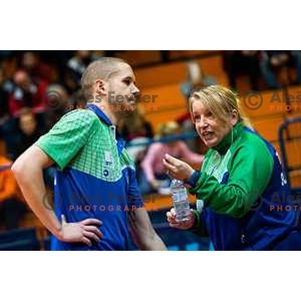 , head coach of Slovenia in action during table tennis European Championship 2019 qualifier match between Slovenia and Romania, played in Sports venue Osnovna sola 3, Murska Sobota, Slovenia on November 20, 2018