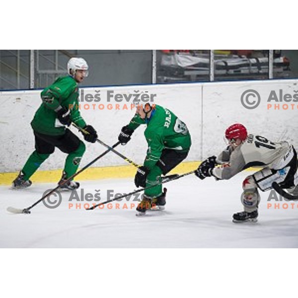 Saso Rajsar in action during Alps league ice hockey match between HK SZ Olimpija and Jesenice , Tivoli hall, Ljubljana, Slovenia on November 25, 2018