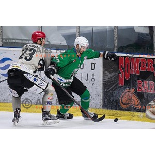 Gregor Koblar in action during Alps league ice hockey match between HK SZ Olimpija and Jesenice , Tivoli hall, Ljubljana, Slovenia on November 25, 2018