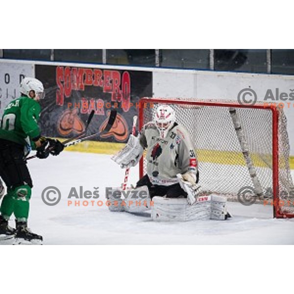 Clarke Saunders in action during Alps league ice hockey match between HK SZ Olimpija and Jesenice , Tivoli hall, Ljubljana, Slovenia on November 25, 2018