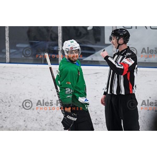 Gregor Koblar in action during Alps league ice hockey match between HK SZ Olimpija and Jesenice , Tivoli hall, Ljubljana, Slovenia on November 25, 2018
