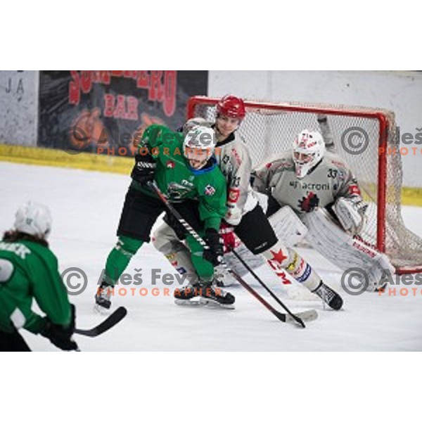 in action during Alps league ice hockey match between HK SZ Olimpija and Jesenice , Tivoli hall, Ljubljana, Slovenia on November 25, 2018