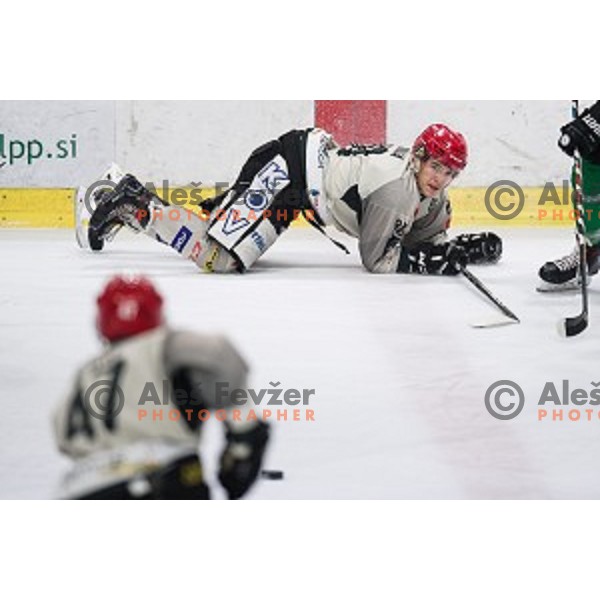 in action during Alps league ice hockey match between HK SZ Olimpija and Jesenice , Tivoli hall, Ljubljana, Slovenia on November 25, 2018