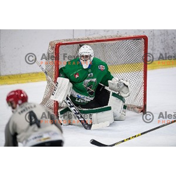 Zan Us in action during Alps league ice hockey match between HK SZ Olimpija and Jesenice , Tivoli hall, Ljubljana, Slovenia on November 25, 2018