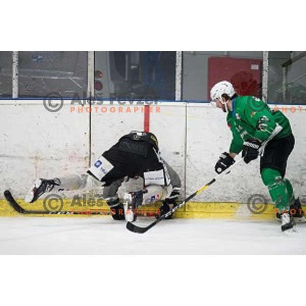 in action during Alps league ice hockey match between HK SZ Olimpija and Jesenice , Tivoli hall, Ljubljana, Slovenia on November 25, 2018