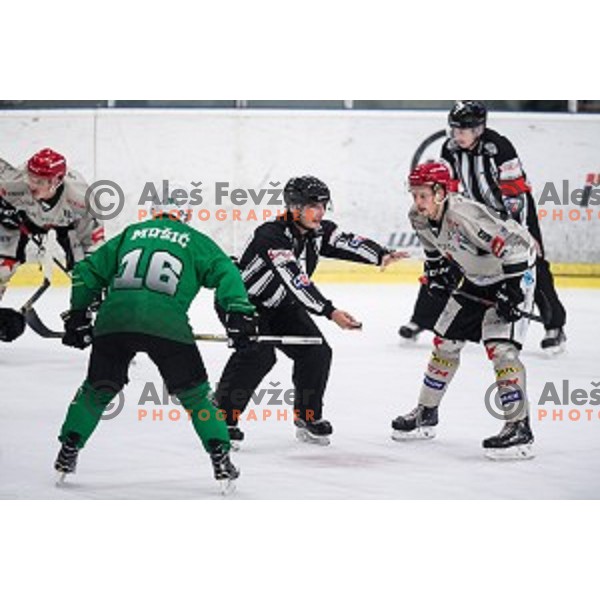 Tadej Cimzar in action during Alps league ice hockey match between HK SZ Olimpija and Jesenice , Tivoli hall, Ljubljana, Slovenia on November 25, 2018